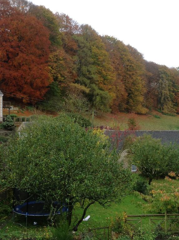 Bisley  Dove Cottage מראה חיצוני תמונה