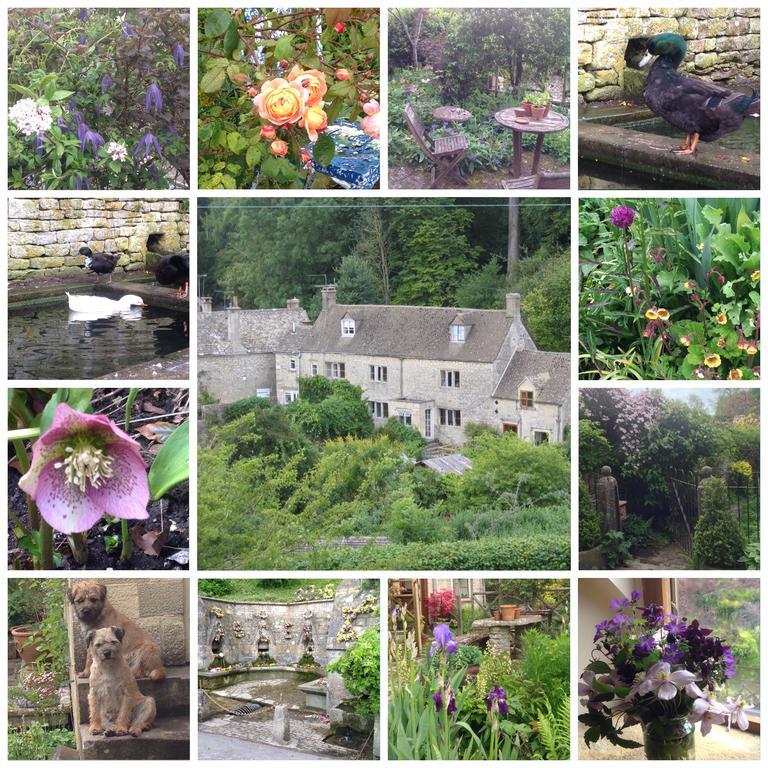 Bisley  Dove Cottage מראה חיצוני תמונה